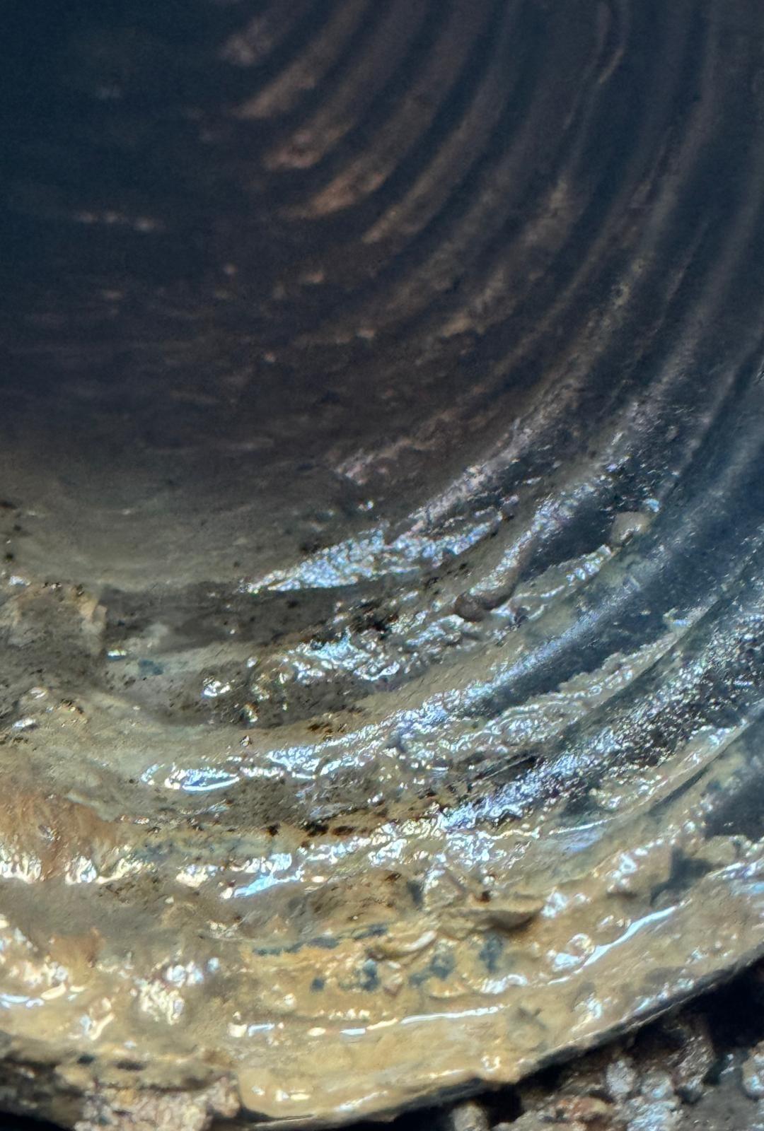 Diagnostic de drains français par caméra